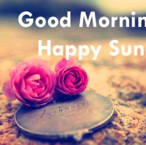 Meet your Posher, Amrita